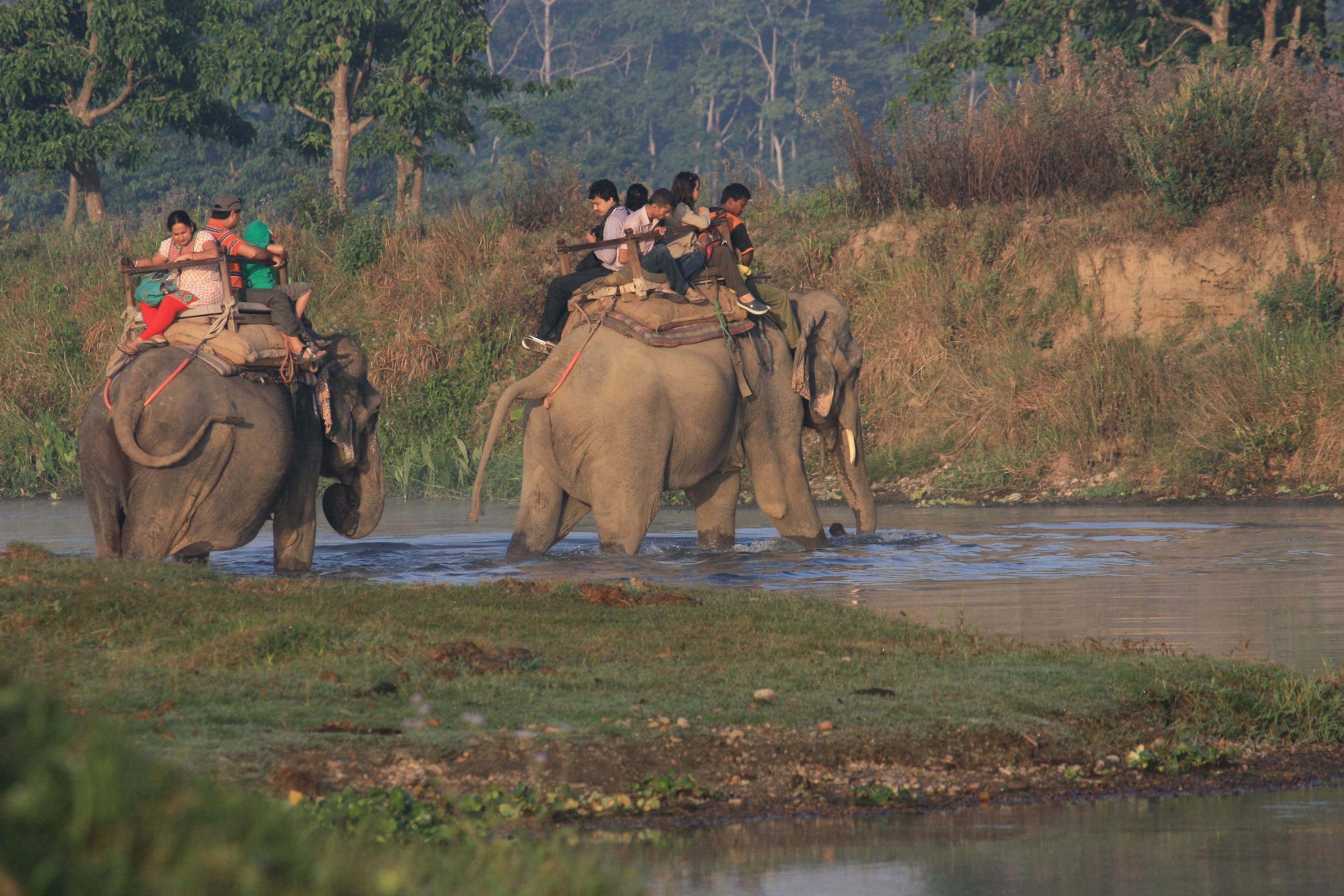 Chitwan Jungle Safari